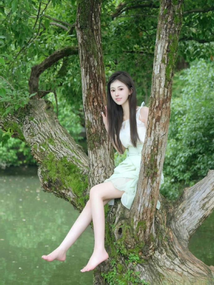我的阿勒泰 封面